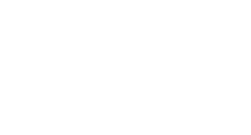 fistpunch-logo-white